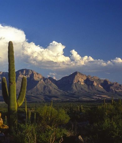 Oro Valle, AZ. Our service area.