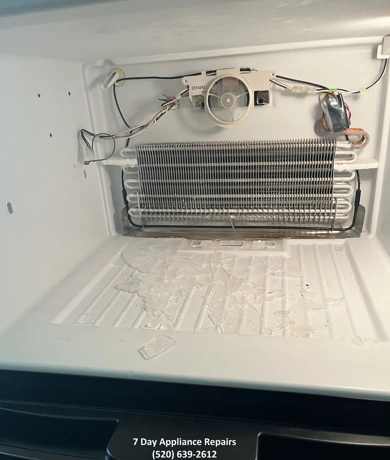 Our project 5. Freezer repair